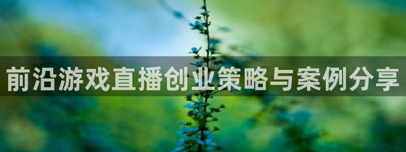 星欧娱乐平台登录入口